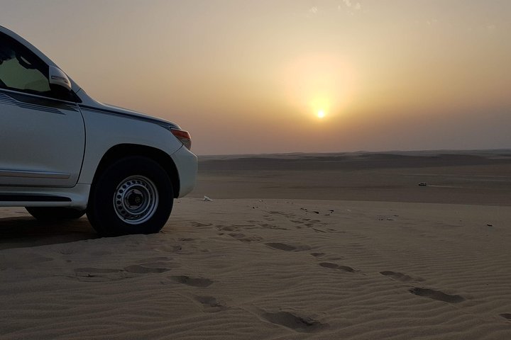 Desert Safari 8