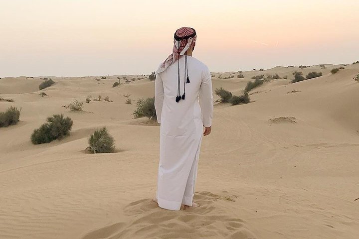 Desert Safari 4