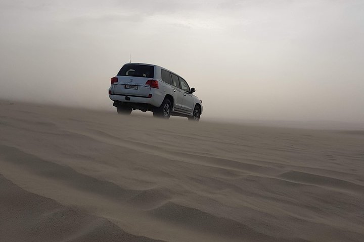 Desert Safari 5
