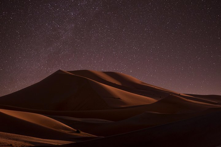 Night Safari 2