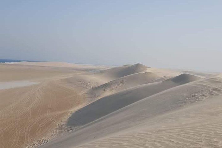Desert Safari 7