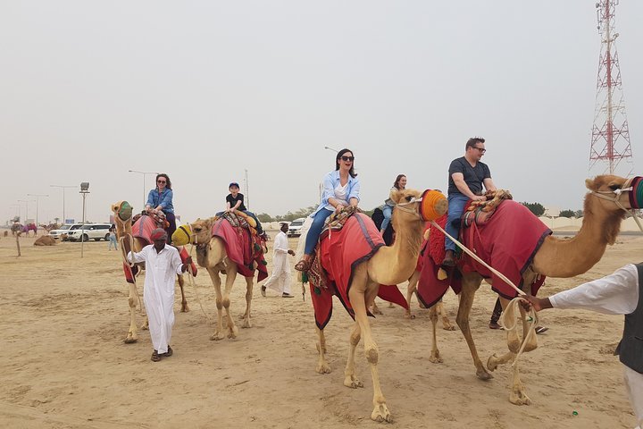 Desert Safari 7