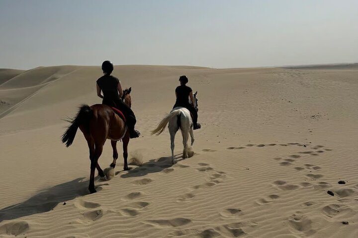 Horseback 5