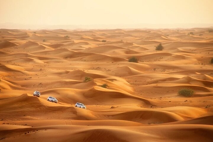 Desert Safari 10