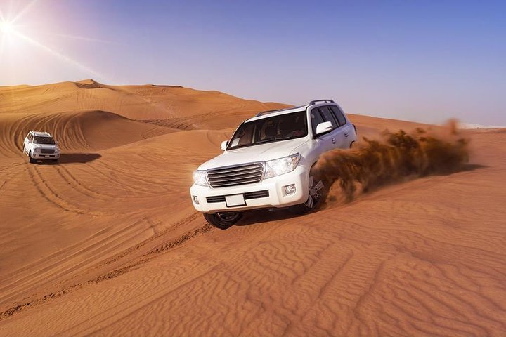 Desert Safari 3