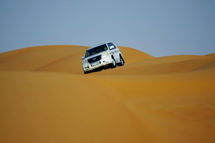 Night Safari 5