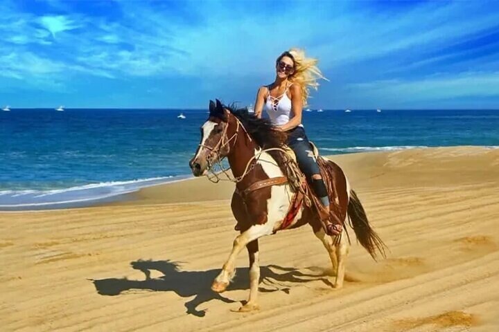 Horseback 3