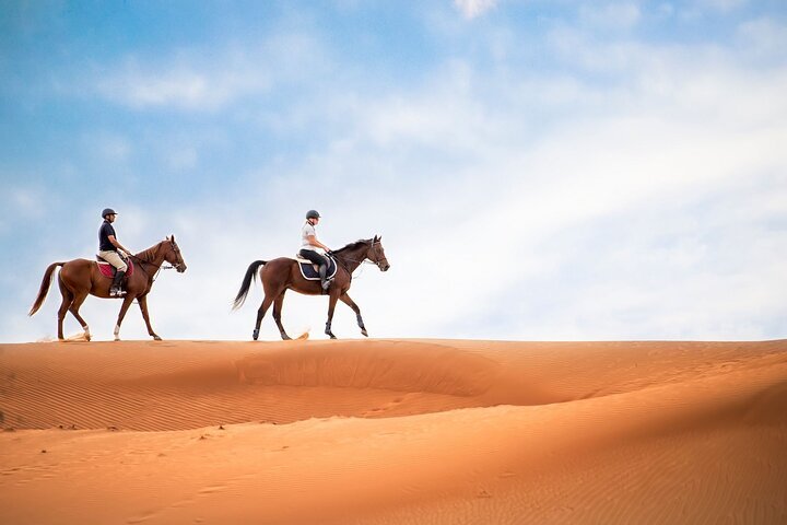 Horseback 2