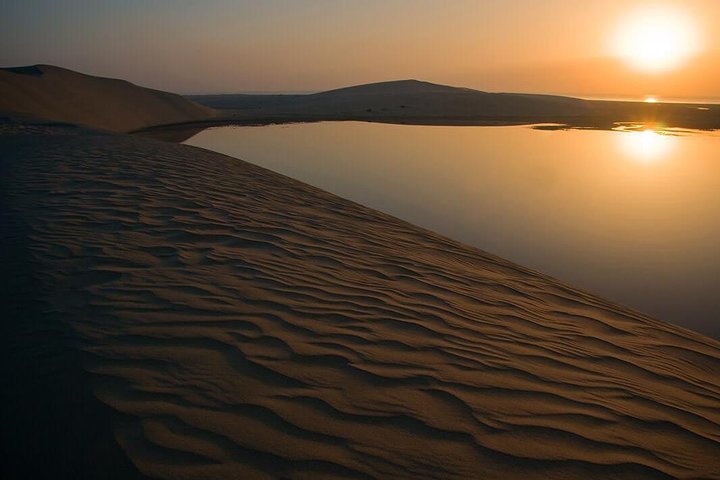 Desert Safari 5